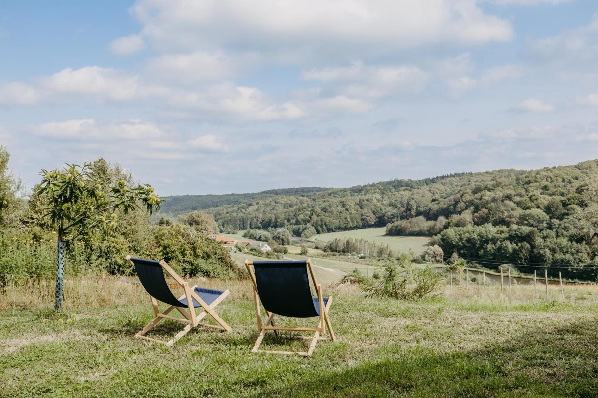 Kaeferberghof Im Burgenland, Komfortzimmer Mit Fruehstueck, Bed & Breakfast, Urlaub Am Bauernhof Eltendorf Экстерьер фото
